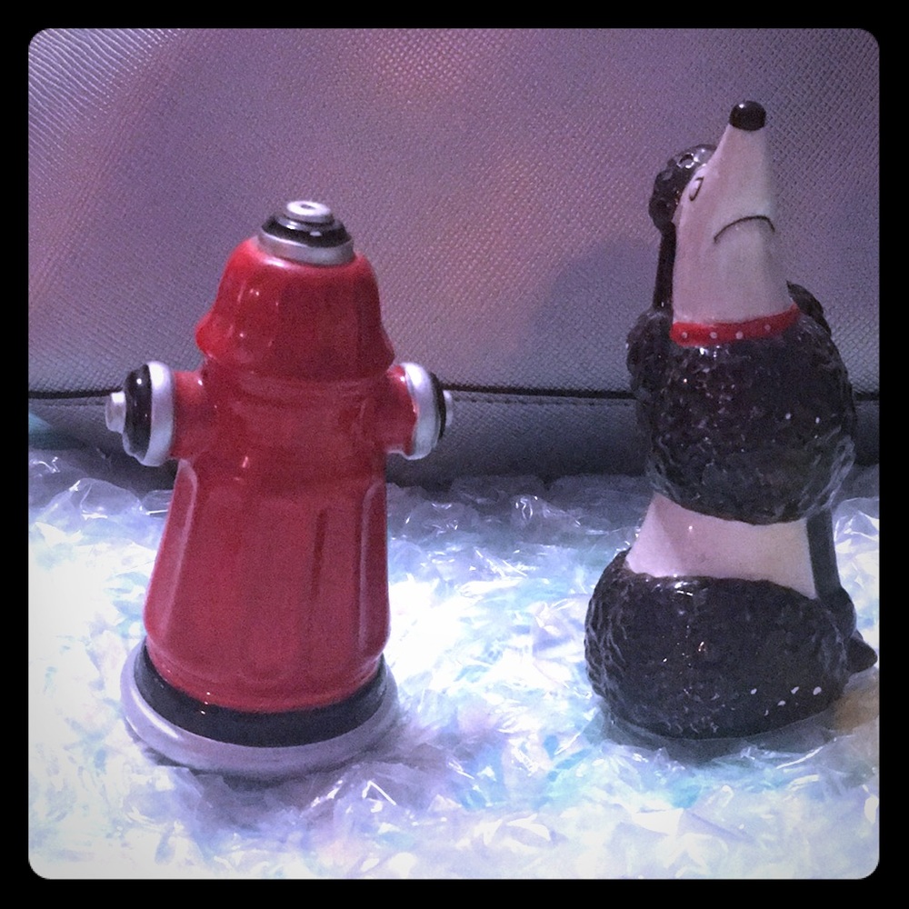 Salt and pepper shaker